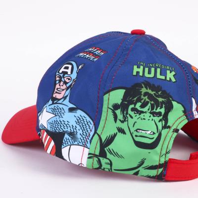 Image 2