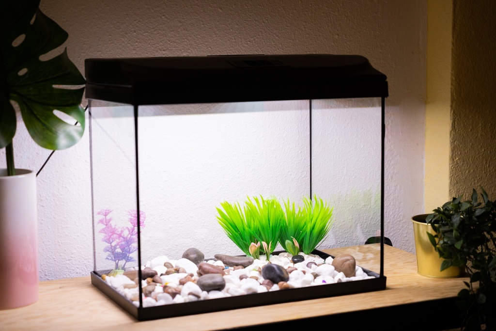 ACUARIO CRISTAL BERNIA 60 CON TAPA NEGRA Y LUZ (54 L.)