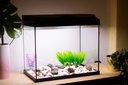 ACUARIO CRISTAL BERNIA 60 CON TAPA NEGRA Y LUZ (54 L.)