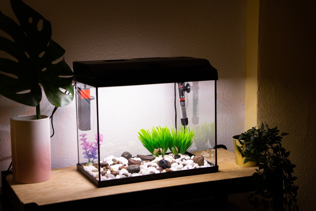 BETTASHOP.ES ACUARIOS Acuario Starter Cold 60 litros Tapa LUZ LED Y Filtro 650 L/H