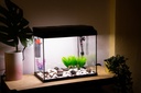 BETTASHOP.ES ACUARIOS Acuario Starter Cold 60 litros Tapa LUZ LED Y Filtro 650 L/H