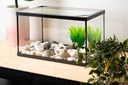 BETTASHOP.ES Acuario PECERA DE Cristal para Peces 14 litros