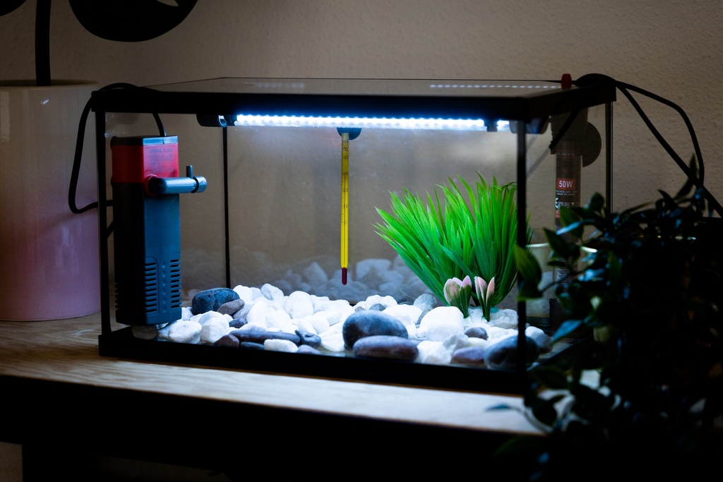 RADYS Acuario PECERA 35 litros con Kit Completo