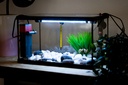 RADYS Acuario PECERA 35 litros con Kit Completo