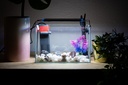 Tropical Acuario PECERA URNA Cristal 38L Kit Completo