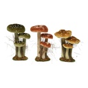 CONJUNTO 3 SETAS SOBRE MUSGO 14x18x26cm