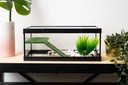BETTASHOP.ES TORTUGUERA Cristal para Tortugas Acuario PEQUEÑA Tortugas