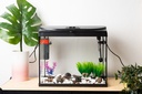 BETTASHOP.ES ACUARIOS Acuario Starter Cold 60 litros Tapa LUZ LED Y Filtro 650 L/H