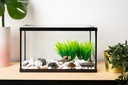 BETTASHOP.ES Acuario PECERA DE Cristal para Peces 14 litros