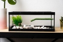 Radys Tortuguera Eco 60 (60x30x20cm)