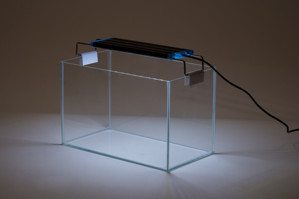 ACUARIO URNA CRISTAL SIN MARCO 14 L. + PANT LUZ LED
