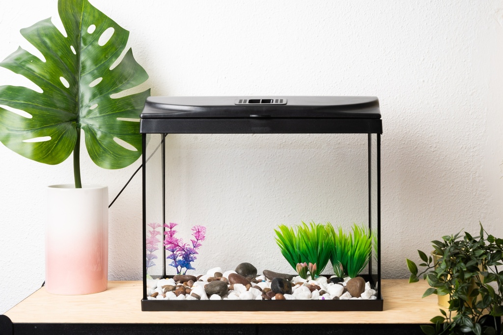 ACUARIO CRISTAL BERNIA 60 CON TAPA NEGRA Y LUZ (54 L.)