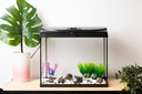 ACUARIO CRISTAL BERNIA 60 CON TAPA NEGRA Y LUZ (54 L.)