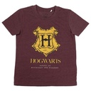 CONJUNTO 2 PIEZAS FRENCH TERRY HARRY POTTER