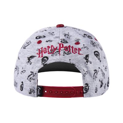 GORRA VISERA PLANA HARRY POTTER