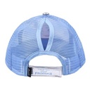 GORRA VISERA CURVA COLETERO FROZEN 2