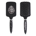 CEPILLOS RECTANGULAR APLICACIONES HARRY POTTER