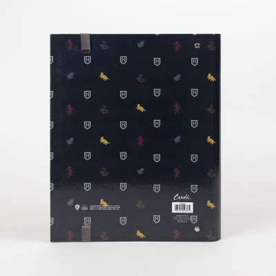 CARPESANO ESCOLAR HARRY POTTER HOGWARTS