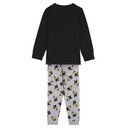 PIJAMA LARGO SINGLE JERSEY LOONEY TUNES