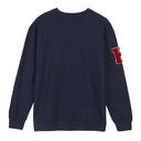 SUDADERA COTTON BRUSHED HARRY POTTER