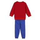 CHANDAL COTTON BRUSHED SPIDERMAN