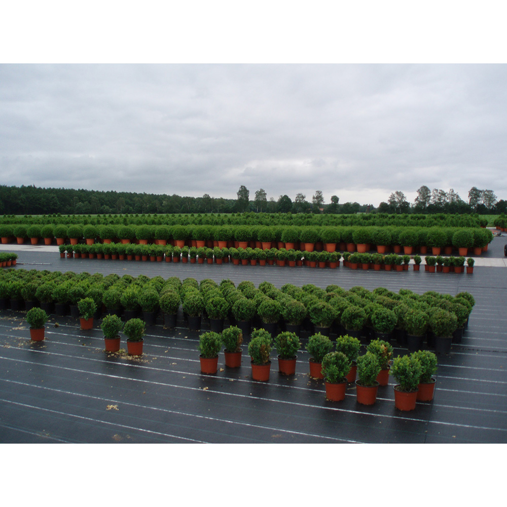 MALLA ANTI-HIERBAS VERDE 100g 1x10m FUN&GO