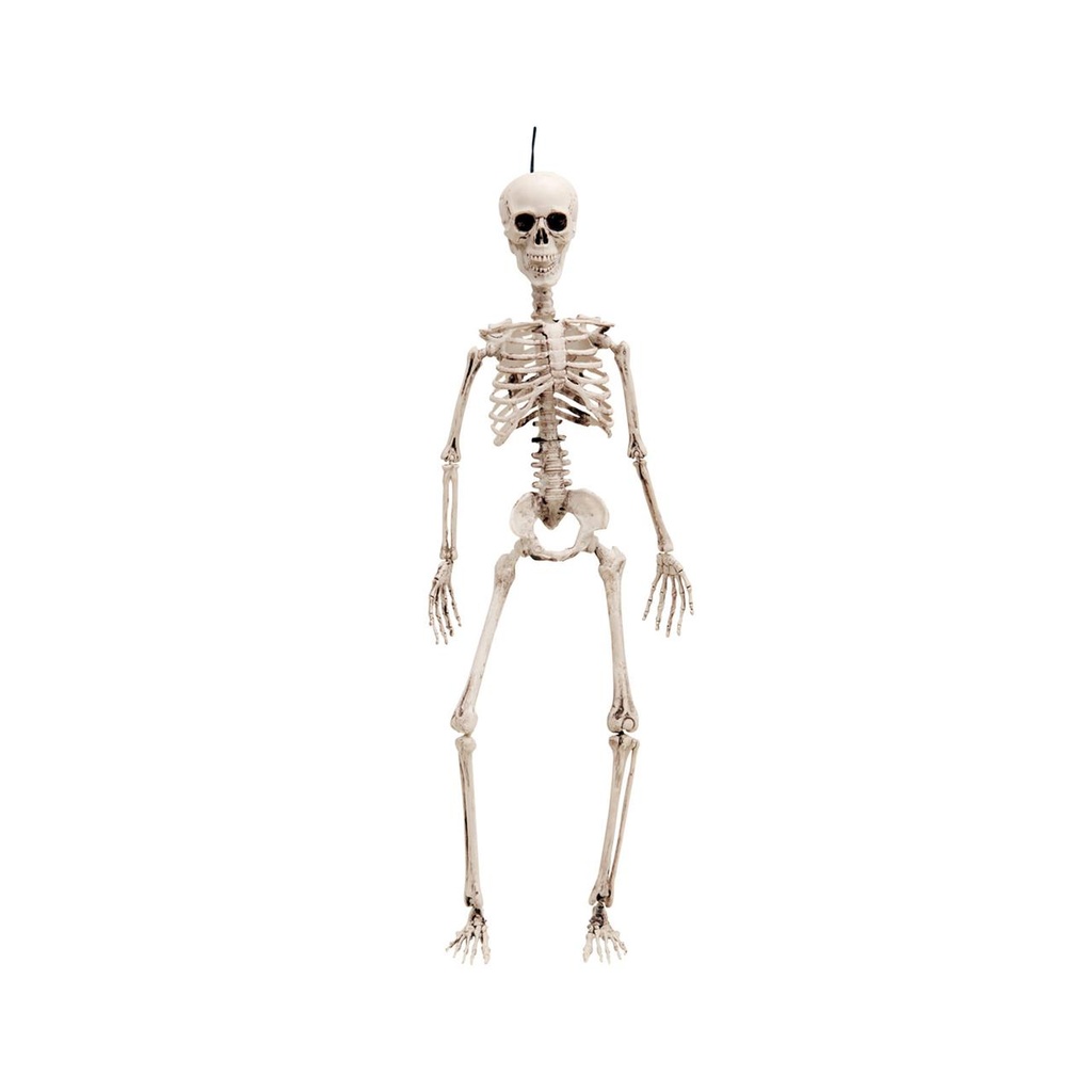 Esqueleto  90 cm