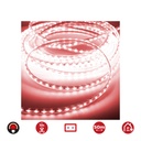 TIRA DE LED 60 LEDS/m 4,2W/m ROJO EDM IP44 220-240V -  EURO/m  50m
