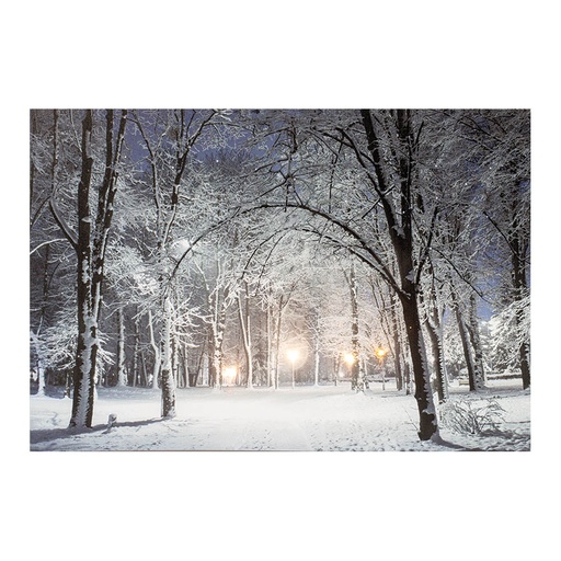 [000002683] CUADRO LED PAISAJES NEVADOS 58x1,5x38cm 6 LEDS 2 MODELOS SURTIDOS