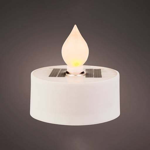 [000003233] CANDELITA SOLAR 894843