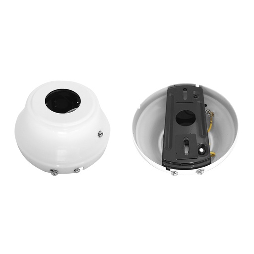 [000003599] FLORON PARA REF.33981