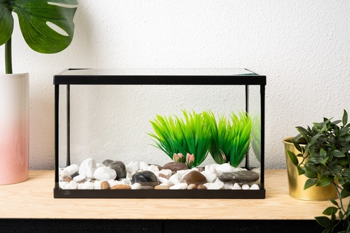 [000005958] BETTASHOP.ES Acuario PECERA DE Cristal para Peces 11 litros