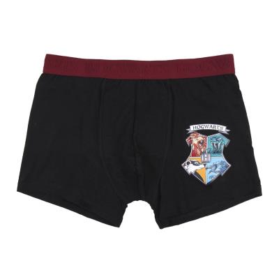 [000008843] ROPA INTERIOR PACK BOXER 2 PIEZAS HARRY POTTER