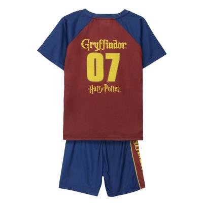 [000009013] CONJUNTO 2 PIEZAS INTERLOCK 2 PIEZAS HARRY POTTER