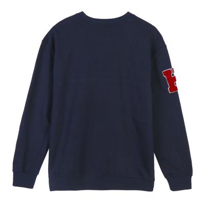 [000009711] SUDADERA COTTON BRUSHED HARRY POTTER