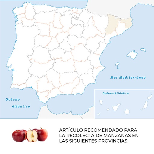 [000013026] TIJERA TIJERA PARA LA RECOLECCIÓN DE MANZANAS TICIMAM14-AM MANZANA NULES