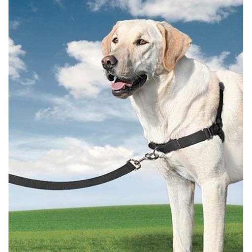 [000014567] ARNES EASY WALK GRANDE COLOR NEGRO