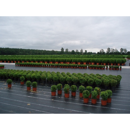 [000016298] MALLA ANTI-HIERBAS VERDE 100g 1x10m FUN&GO