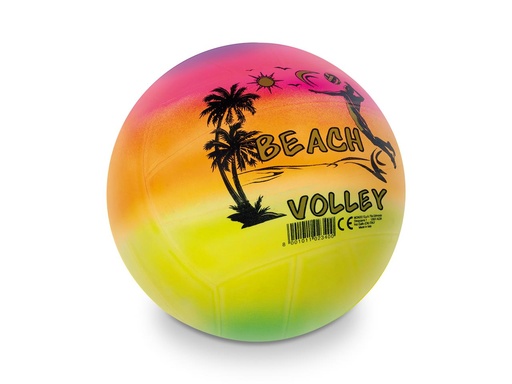 [000020357] Pelota Volley Playa 220 Mm Rainbow, Bioball (Exp.  18 Piezas)