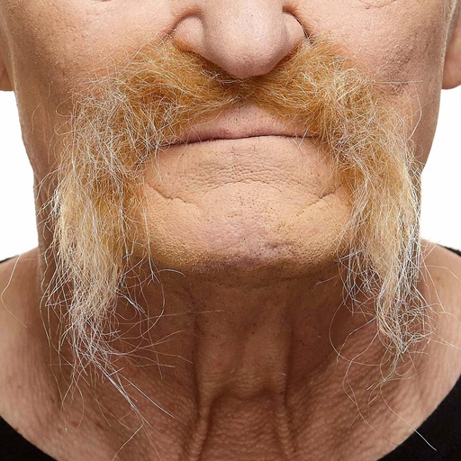[000025733] Bigote Única
