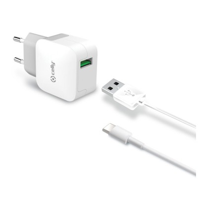 [000000398] CELLY MAINS CHARGER 2 4A OUTPUT AND WHITE TYPOC CABLE TCUSBTYPEC